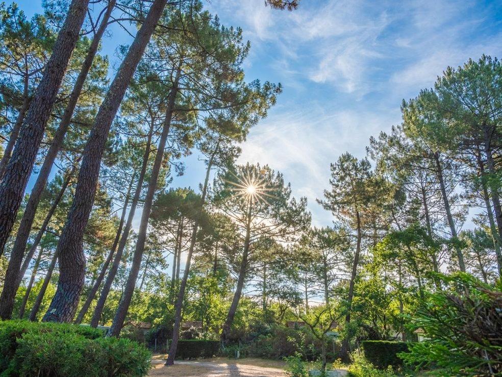 Camping 阿雷斯 外观 照片
