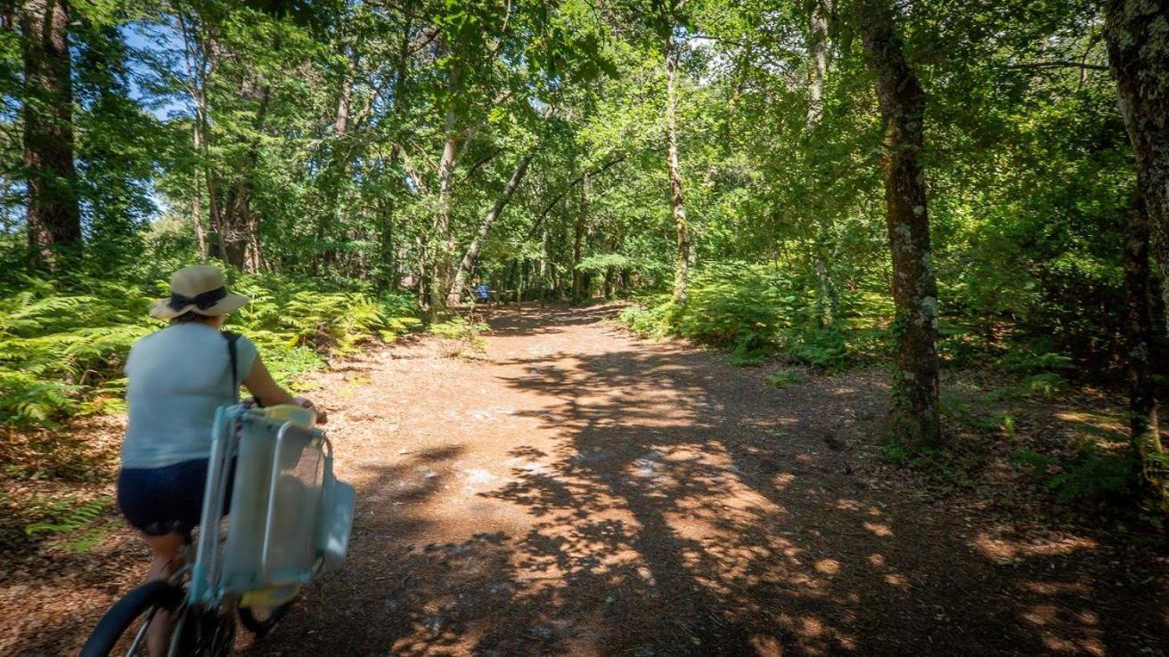 Camping 阿雷斯 外观 照片